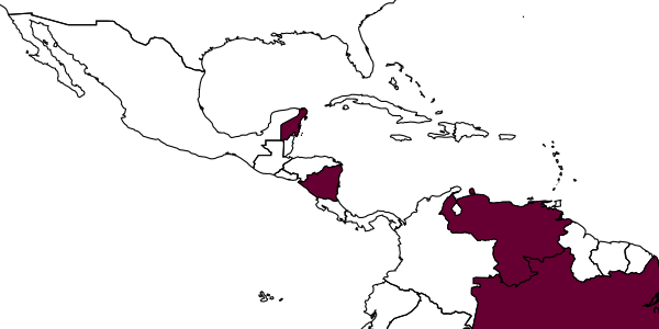 map of Anisepyris isilduri     Barbosa & Azevedo, 2018